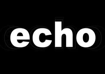 echo screen