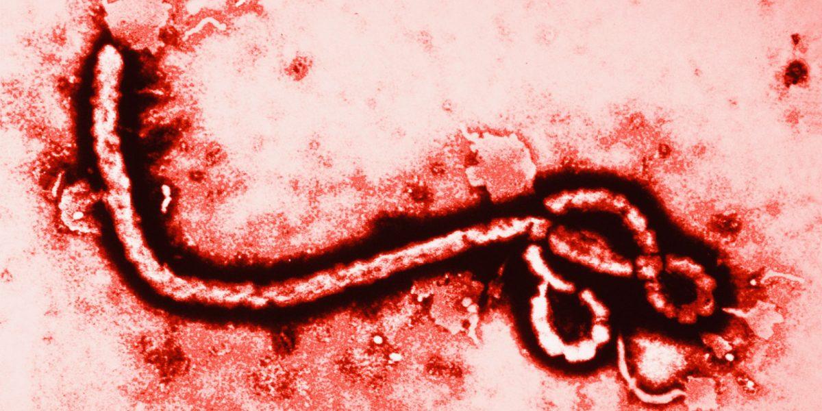 The+Ebola+Paranoia
