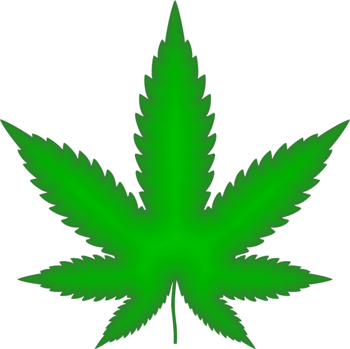 Marijuana+Myth+Up+in+Smoke