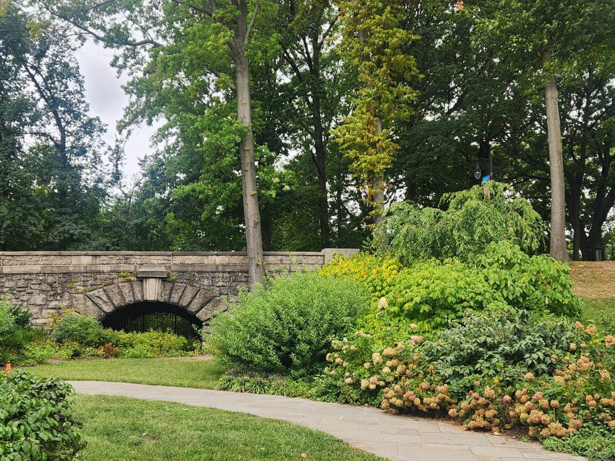 The Legacy of Branch Brook Park